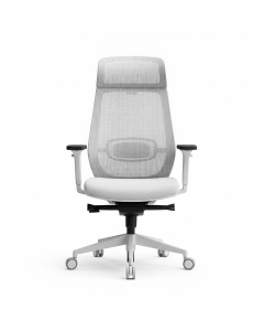 Ergonomic Mesh Back Chair