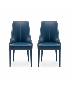 Leather Dining Chair Set