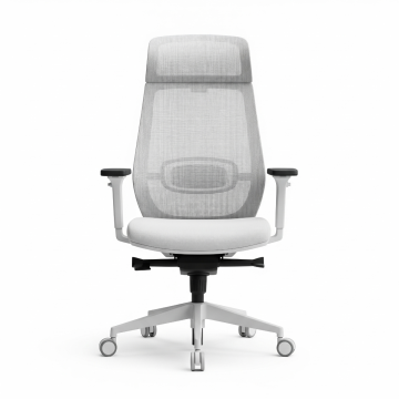 Ergonomic Mesh Back Chair