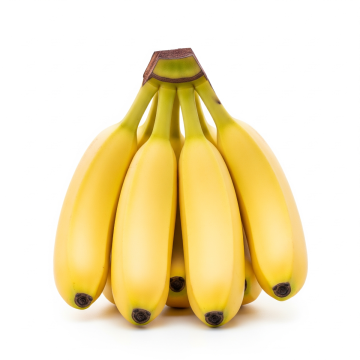 Organic Bananas