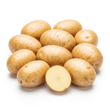 Potato