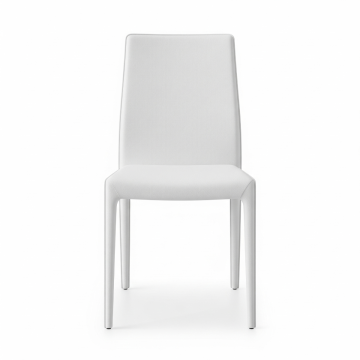 Velvet Upholstered Chair